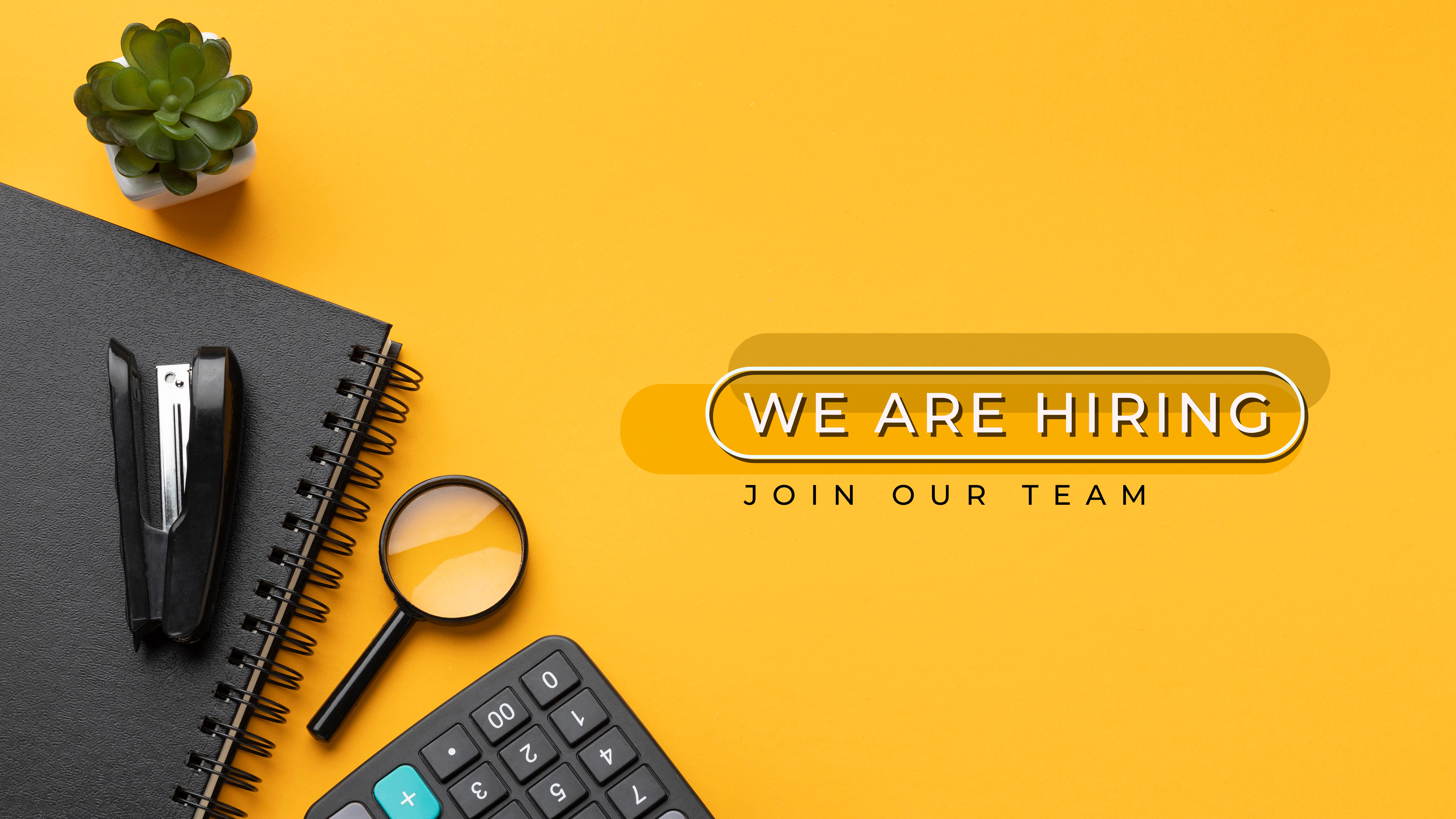 Career Opportunities at Mindware